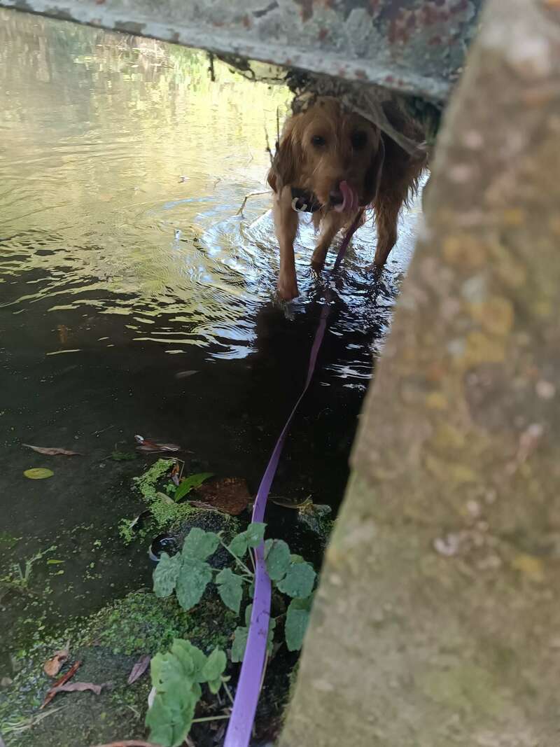 2023-11-1320231114-3056163-15zxnxf