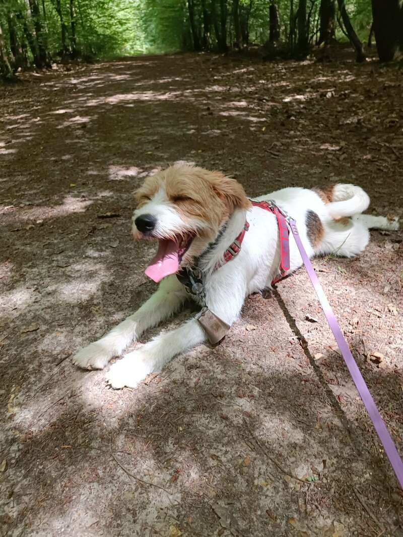 2023-09-2220231103-3615675-1thys1q