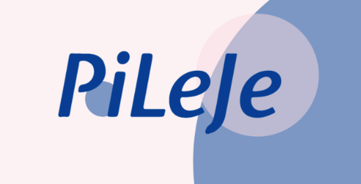 ba46f8_02026e83d4d54fc5a55cda399251706a_mv2