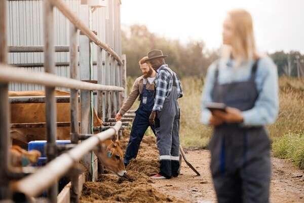 Maladies professionnelles agricoles : les conditions de diagnostic sont simplifiées