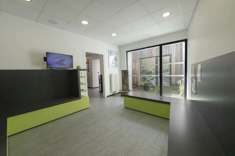 zen20250326-2048590-yt2s36