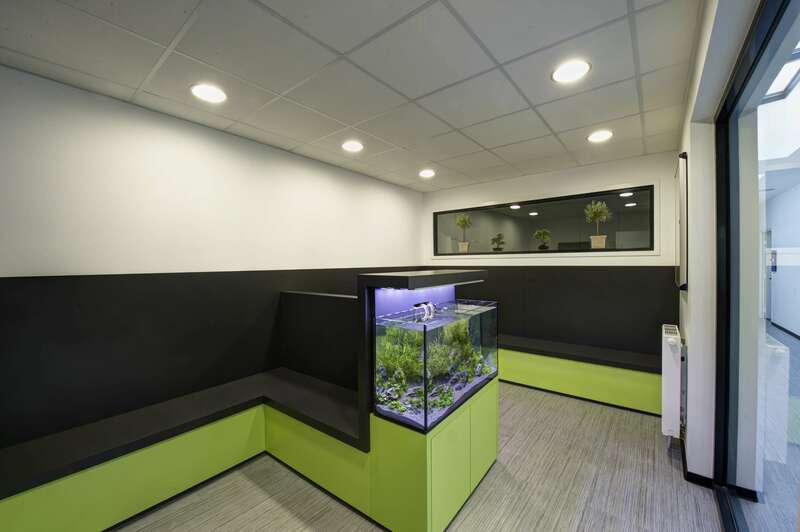 aqua_220250326-2036383-e5k7al