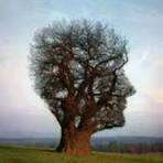 Le "mouton noir" selon Bert Hellinger