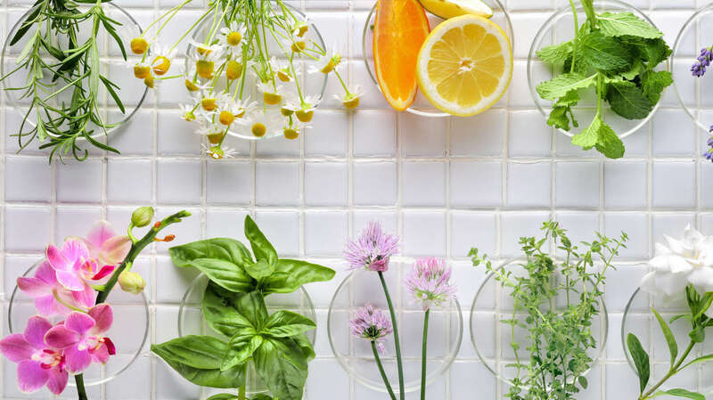 Consultations naturopathie à Tarbes