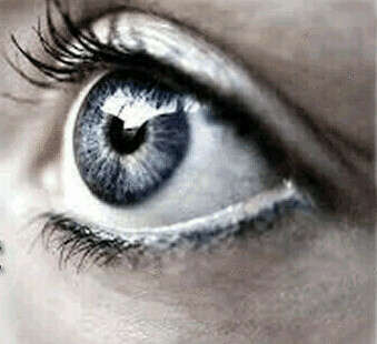 La libération des chocs émotionnels ou comment se libérer de ses traumas 