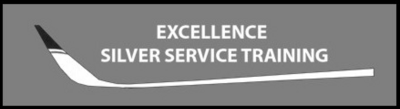 Excellence Silver Training