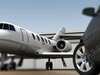 whiteline transfers airport shuttle