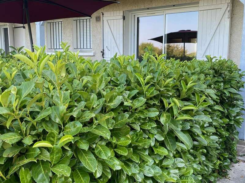 9d3ad02c-89f4-4cfb-a13c-07bf1168192b