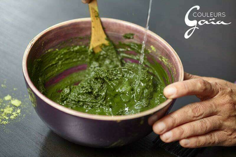 bol-melange-bio-couleurs-vegetales-gaia