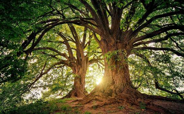 L’hypnose comme outil de prévention, pour anticiper les difficultés