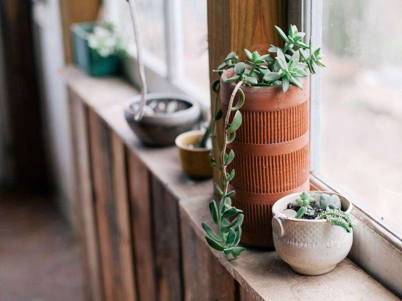 fenetre-bois-sur-mesure