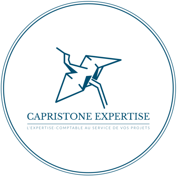 Logo CAPRISTONE EXPERTISE
