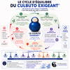Le Cycle d'équilibre du Culbuto Exigeant® | Coaching & Thérapies®