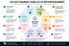 SCHEMA - Les huit grandes familles de Métaprogrammes