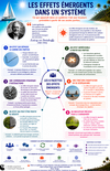 SCHEMA - Les effets émergents dans un Système
