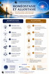Comparaison entre l’homéostasie, qui maintient les constantes biologiques, et l’allostasie, qui adapte le fonctionnement de l’organisme aux changements de l’environnement.