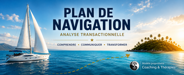AT - Plan de Navigation de la Série Analyse Transactionnelle