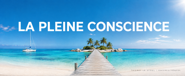 LA PLEINE CONSCIENCE