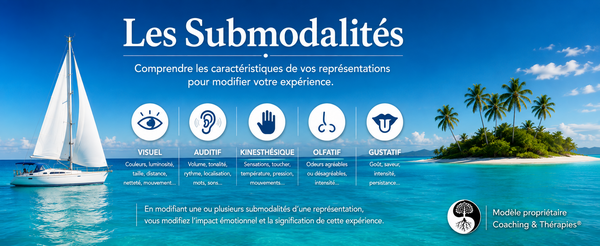 Les Submodalités 