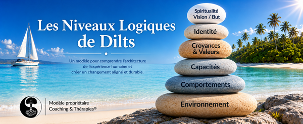 Les Niveaux Logiques de Dilts