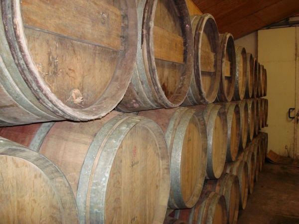 LES VIGNOBLES TEVENOT A CANDE SUR BEUVRON : UNE FAMILLE PASSIONNEE ET PASSIONNANTE !