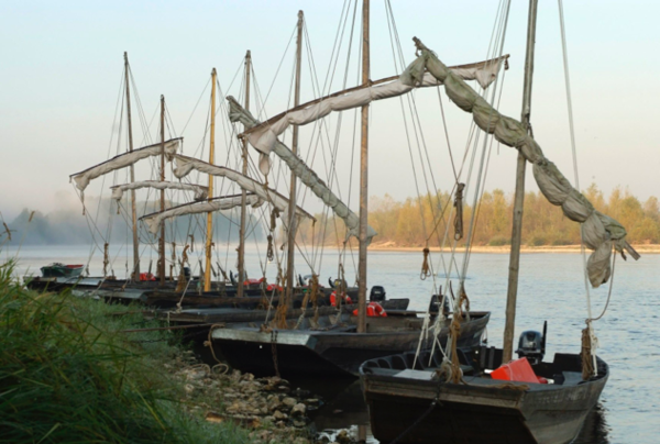 EMBARQUEZ POUR DES PROMENADES INOUBLIABLES SUR LA LOIRE