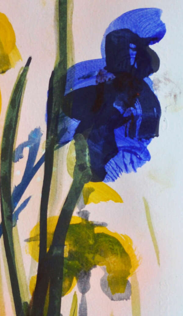 STAGE PEINTURE DU 16 AU 20 MAI au château Laborde Saint Martin avec Stéphanie de Malherbe