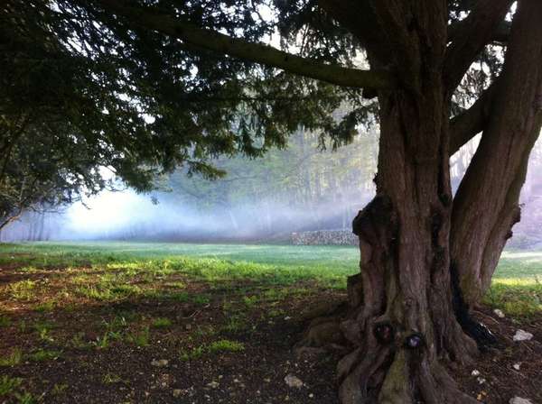 Stage de "Pleine Conscience" (Mindfulness) 23 au 27 octobre 2017