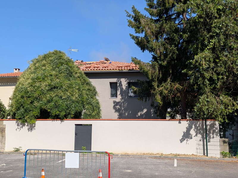 pxl_20260709_083511901