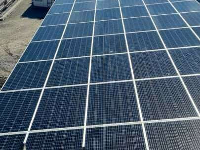 received_27672782763528820220509-353386-5x8u5l