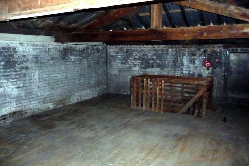 p102046220240827-3348132-1ogzhpb