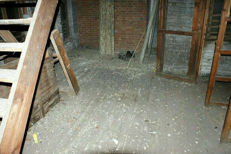 dsc0265320240827-3348132-crciyd