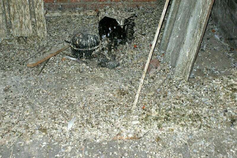 dsc0265420240827-3348132-133ym8e