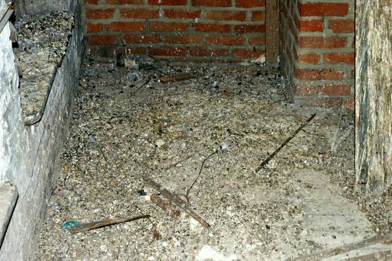 dsc0265520240827-3348053-1l684w