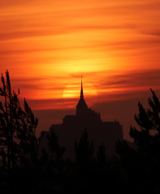 Article intitulé Me Edouard de LAMAZE désigné « M PATRIMOINE » de la région Normandie