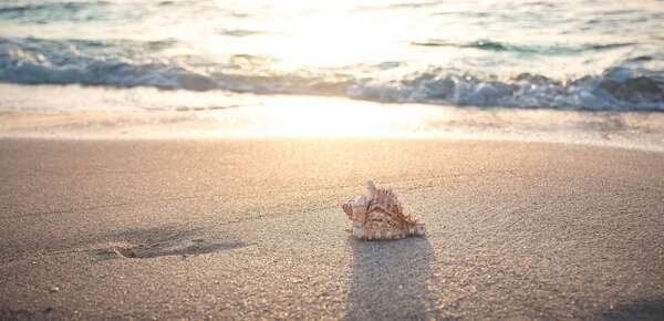 Quand le corps lâche ... car la tête relâche