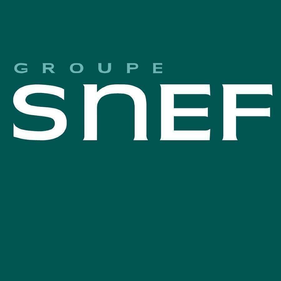 Groupe SNEF