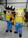 Location Mascottes