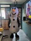 location de mascotte