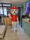 location de mascotte
