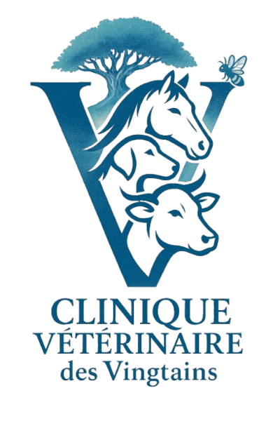 Logo Clinique Vétérinaire des Vingtains