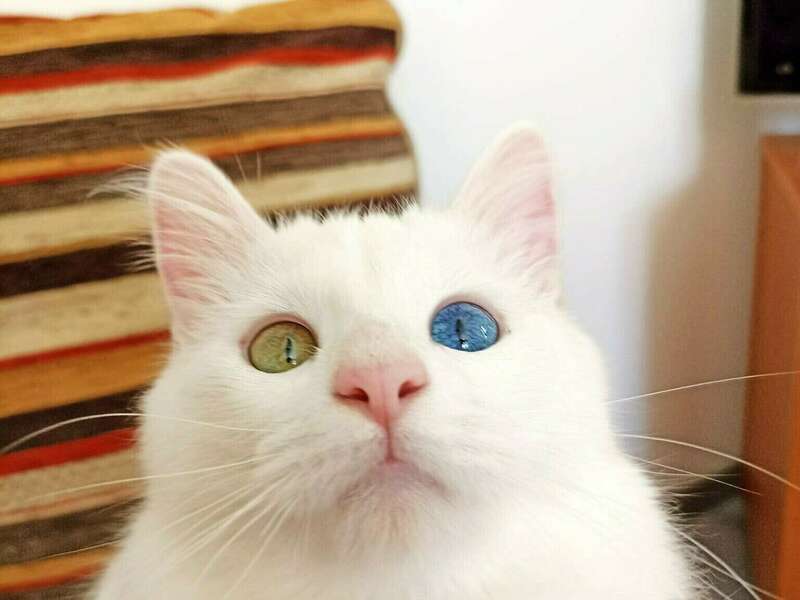 img-20240308-wa0015_copie