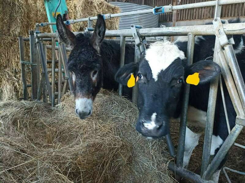 img-20240308-wa0024_ssnum