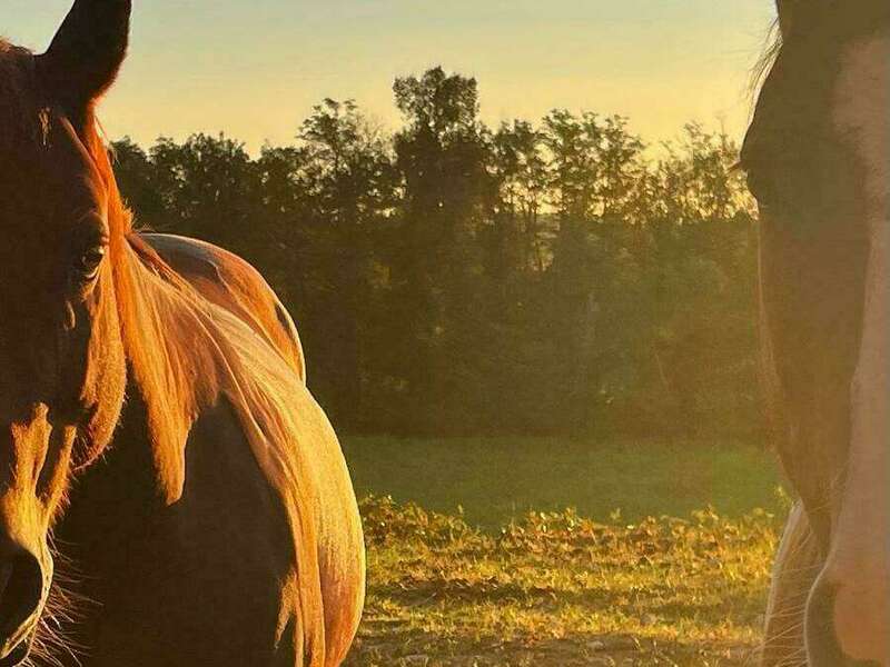 whatsapp_image_2024-03-07_a_17-04-02_012c5388