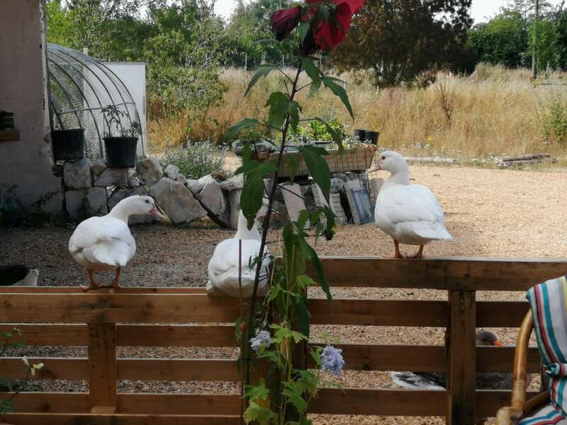 Bienvenue à la ferme !