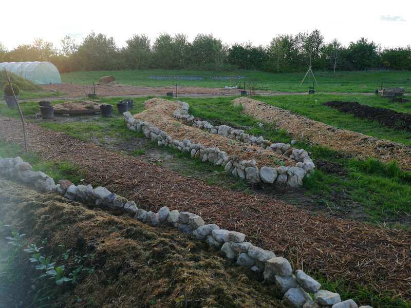Butte en lasagne, permaculture