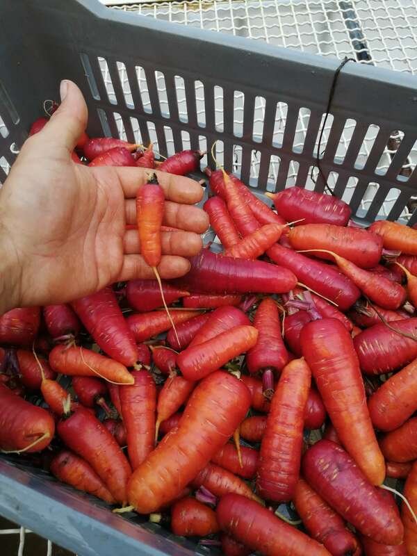 Rétrospective 2021, projets 2022 !