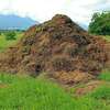 Tas de compost en formation