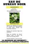 Recette eau de sureau