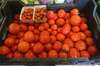Tomates